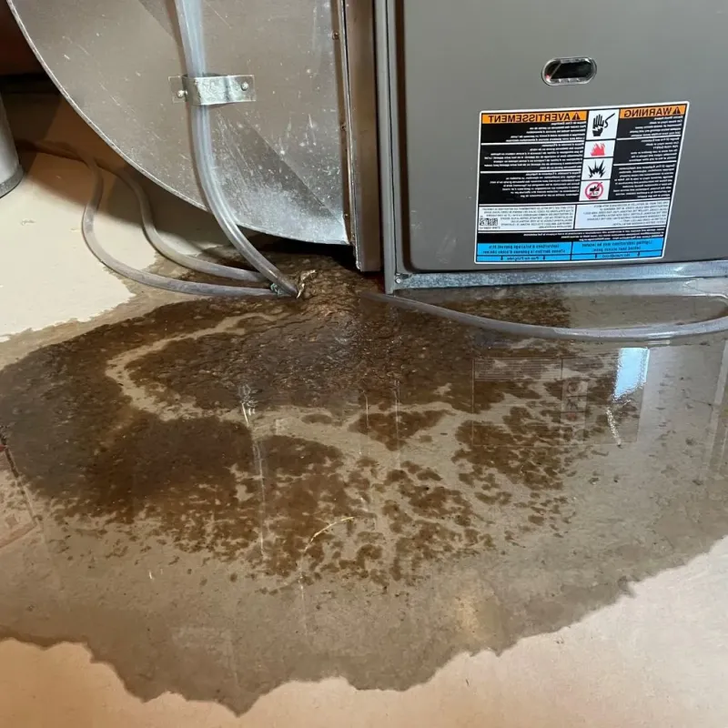 Pipe Burst and Leak Restoration in Fort Dodge, IA