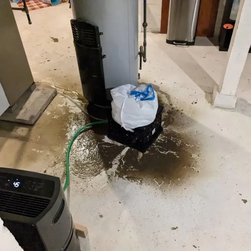 Sewage Backup Cleanup Service in Fort Dodge, IA